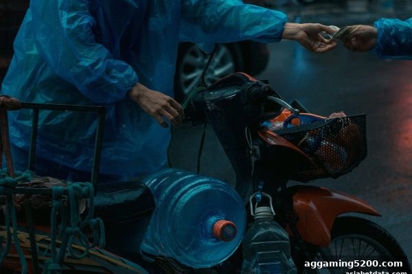 亚洲博彩网站平博体育USDT出款审核深度解析：从流程到技巧，轻松避开常见陷阱