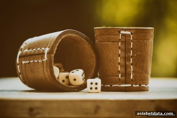 亚洲博彩网站深度解析：飞禽走兽与双色球的实战策略与理性指南