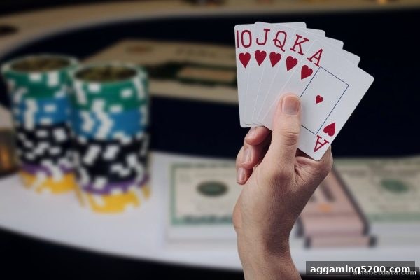 亚洲博彩网站玩家的报牌频率分析：从数据到实战的全维指南