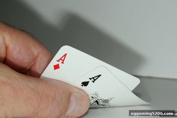 亚洲博彩网站深度解析：斗地主团队协作的致胜策略