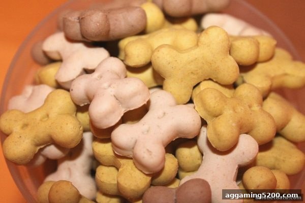 亚洲博彩网站KA电子月度回馈：流水返还活动全指南